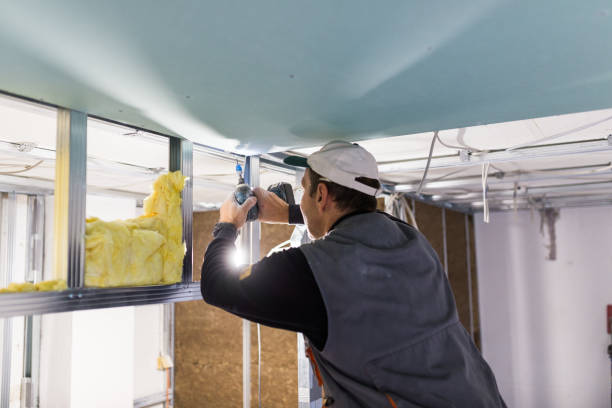 Best Insulation for Specific Applications in Tanaina, AK