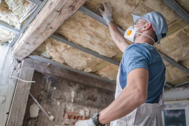 Best Insulation Installation Services in Tanaina, AK