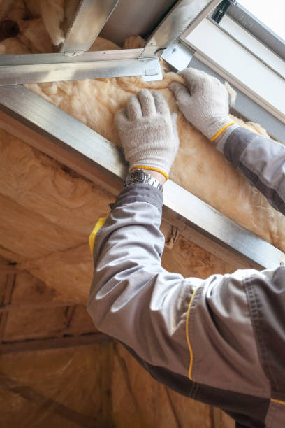 Best Insulation Maintenance and Repair in Tanaina, AK