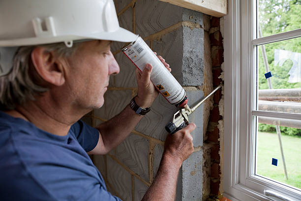 Best Residential Insulation in Tanaina, AK